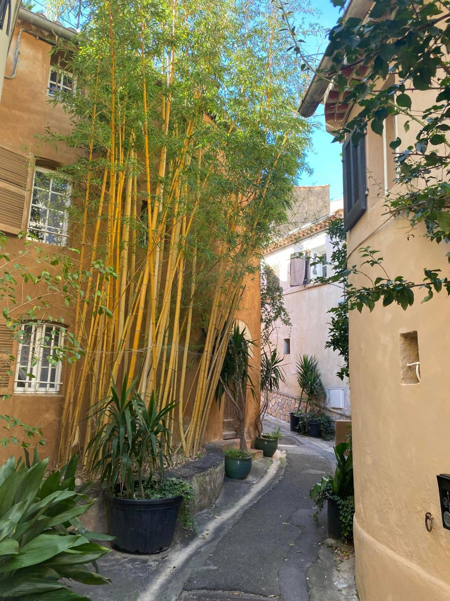 Spacieux Duplex, Vue Mer Et Belle Terrasse Hyères Exteriör bild
